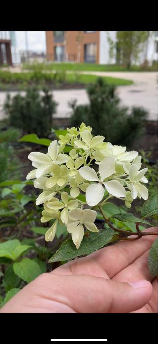 Благоустройство и озеление