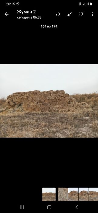 Жонышка прес жонышка