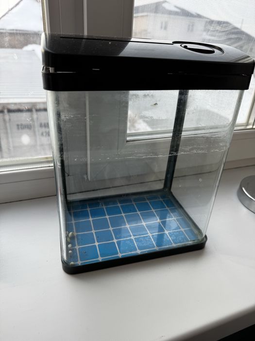 Аквариум для рыб