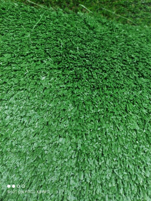 Gazon SAG chim maysa газон gozon