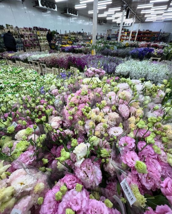 Тюльпаны, герберы, хризантемы, ромашки, пионы, розы