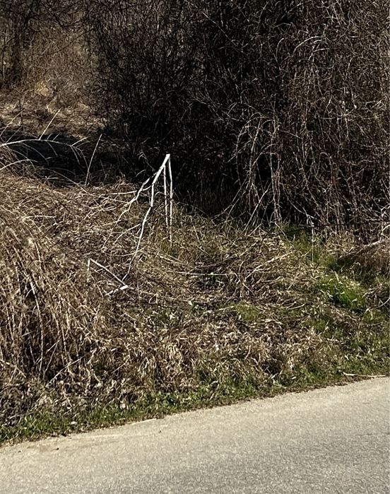 Продава се Парцел в Борово - 2484 кв.м за 3 €/кв.м - Снимка #3