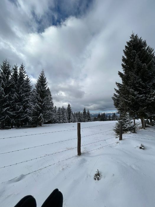Vând teren la Marisel
