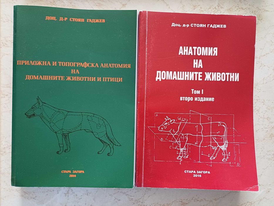 Учебник по систематична и топографска анатомия