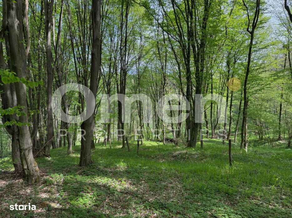 Ideal pentru cabana | zona de camping
