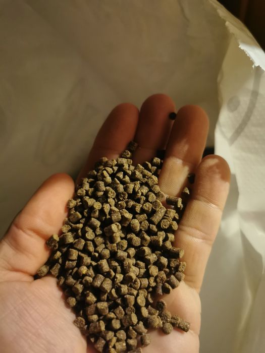 Hrana creștere rapida crapi Koi Și carasi, - sac de 20 kg