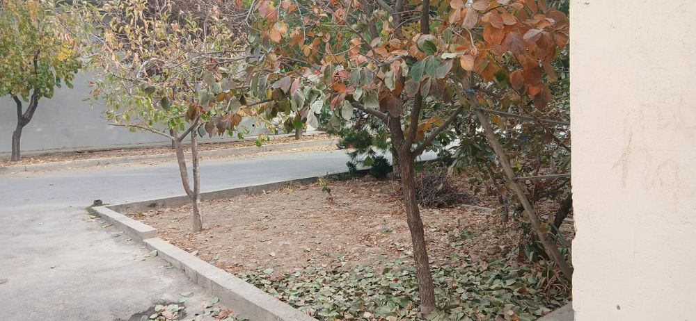 Yunsobotda  uy sotiladi 1.5 sotix