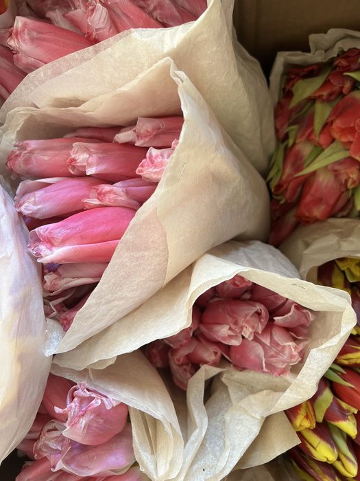 Тюлпаны 1000 тг ден бар