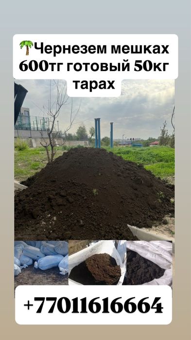 Чернозем қара топырақ