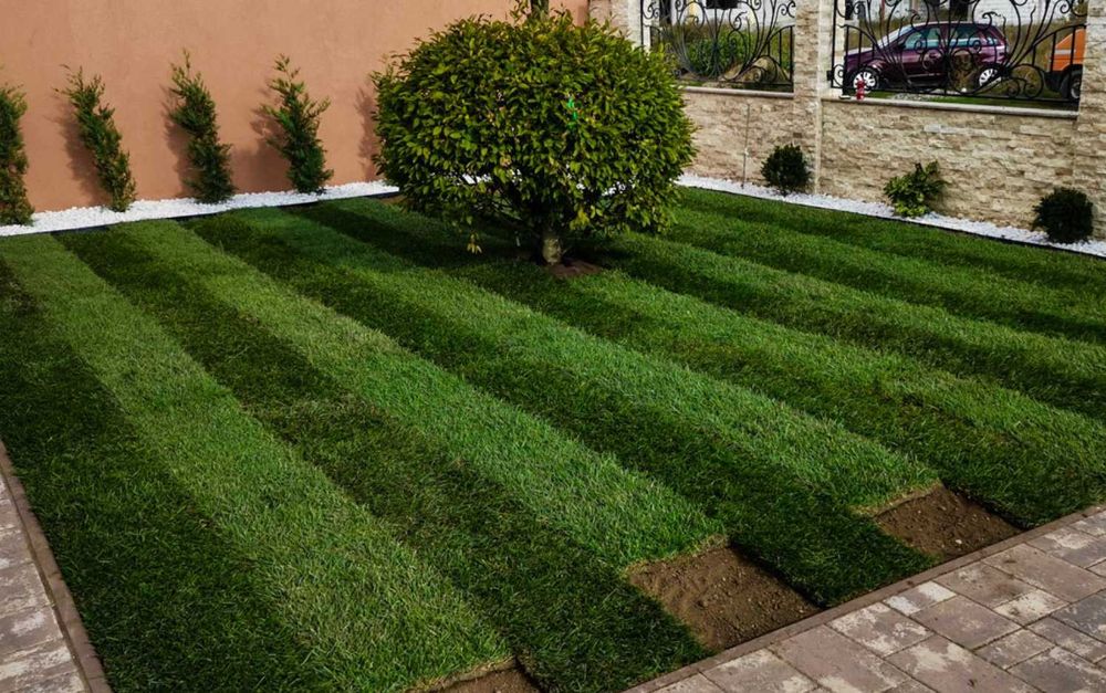 Gazon Natural pentru Gradina - Amenajare Completa