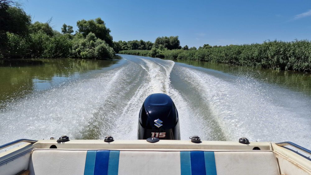 Vand barca cabinata Family 560 cu motor Suzuki 115CP nou si peridoc.