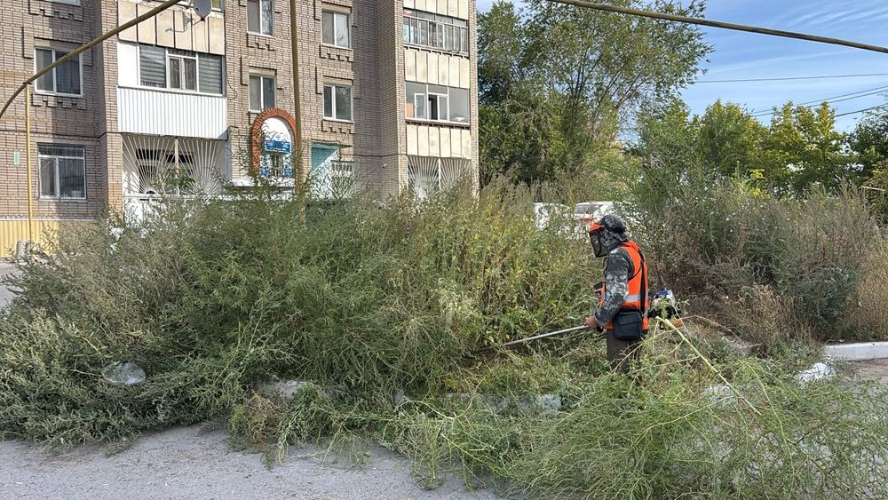 Покос травы сорняк бурьян