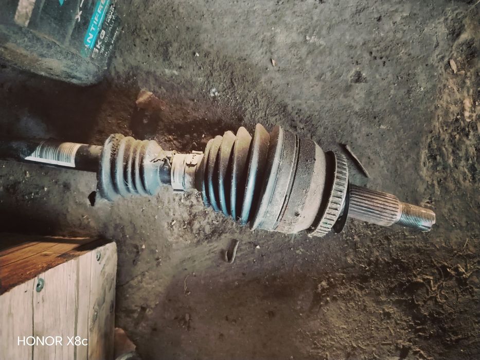 Bivaydi song plus tawqi granata