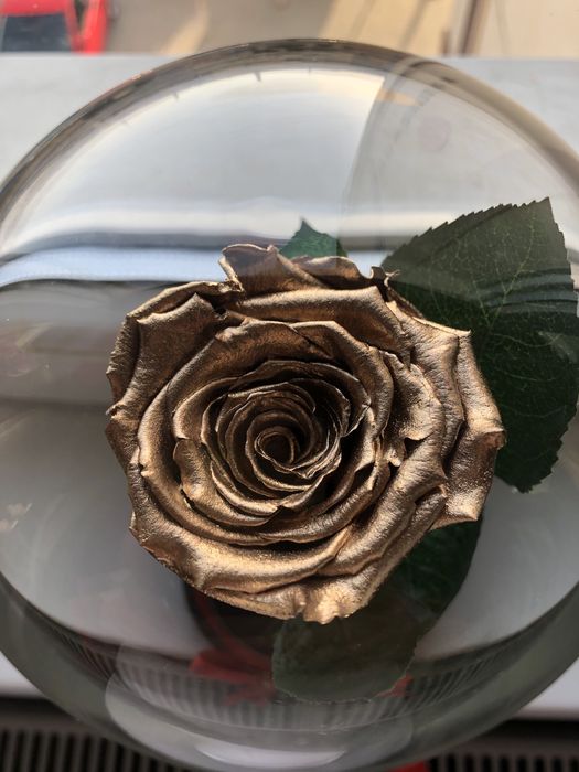 Trandafir criogenat conservat gold