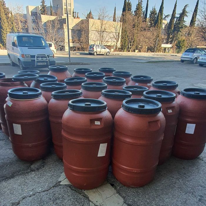 Дебелостенни бидони