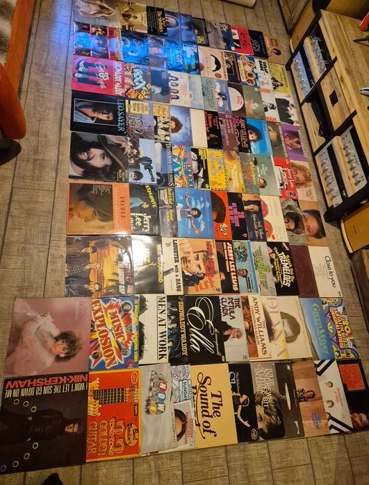 Lot 100 Viniluri