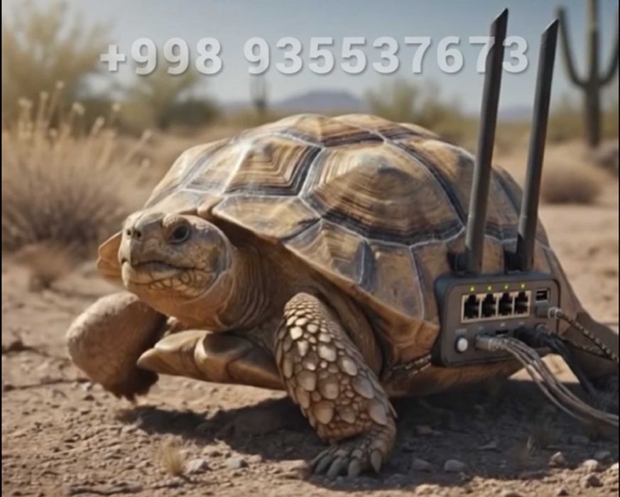 Услуги Моушен дизайнера и Нейрокреатора. Рекламные видео