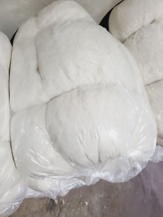 Tayyor Paxta sintifon