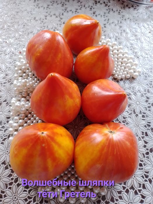 Продажа коллекционных томатов