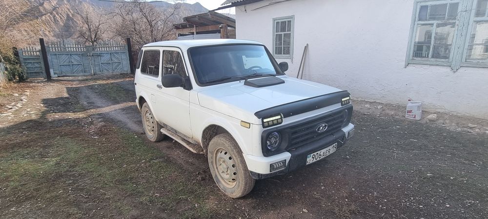 Нива инжекторный