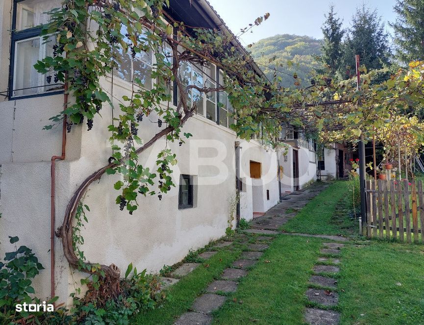 Casa de vanzare cu 2 apartamente separate si teren 500 mp Cisnadioara