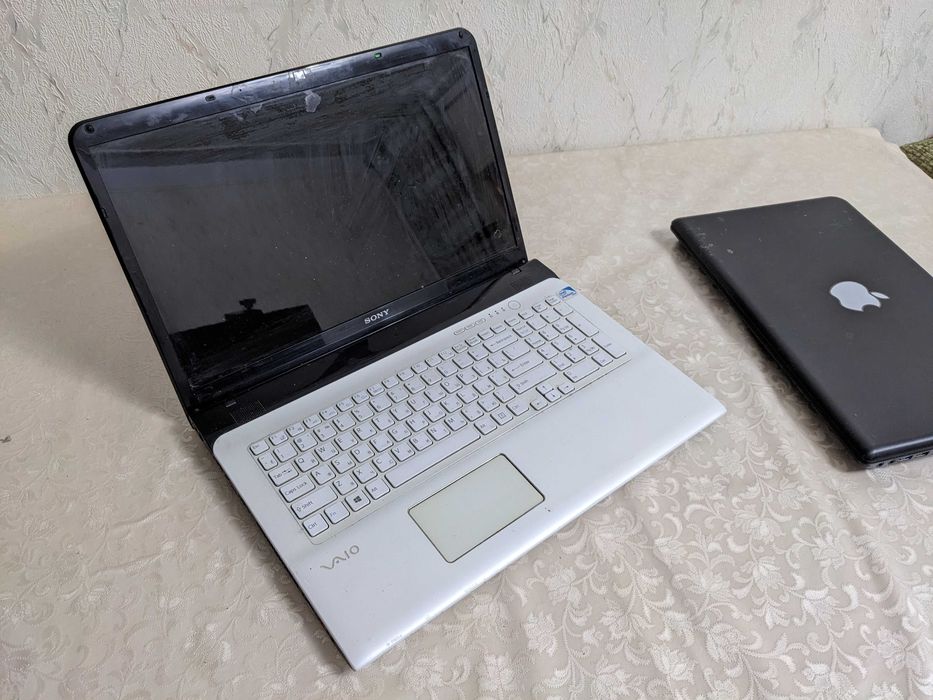 Sony VAIO + Toshiba Satellite