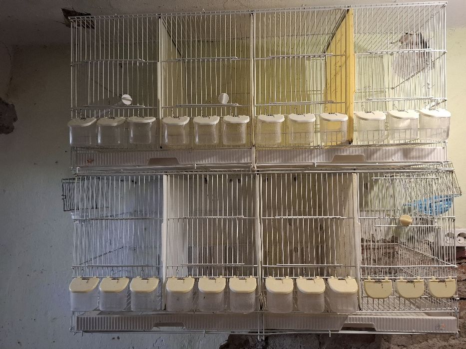 Клетки за птички