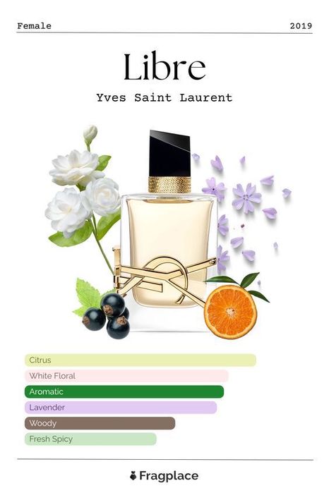 Парфюмы люкс качество