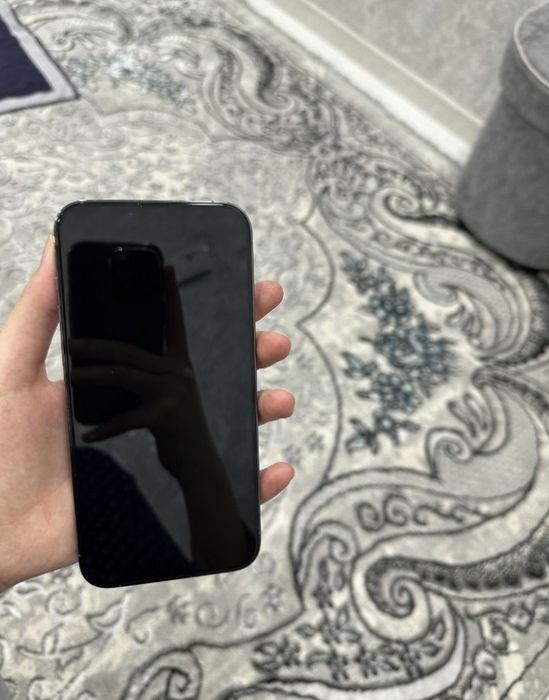 Iphone 13 Pro Max ideal