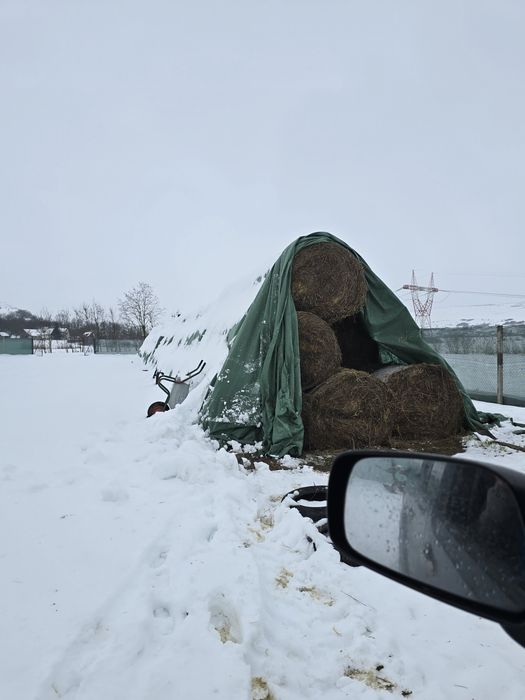 Vand baloti lucerna 120x120