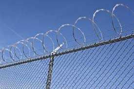 Колючая проволока оцинкованный