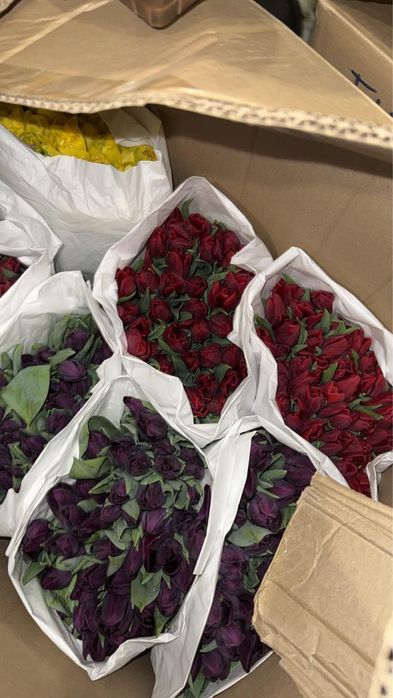 Свежие Тюльпаны на 8 Марта