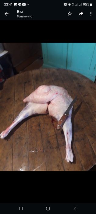 Баранина мясо койдын ети