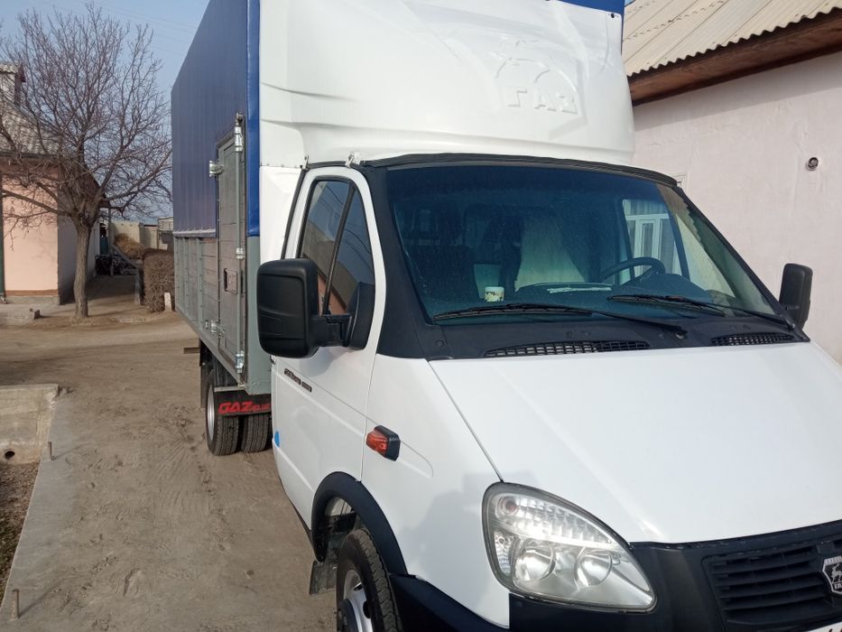 Gazel biznes sotka mator