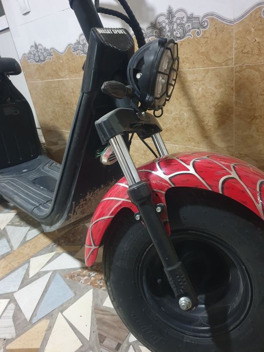 Коко сити 2025 зор