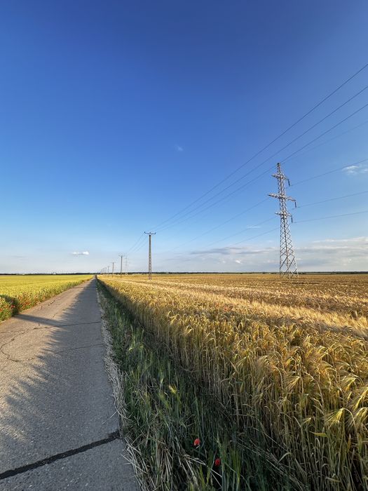 Teren 5 ha, 155 m front la DRUM DE BETON, Cernoziom Categoria I, Deal, Orientare Sud, Linii Curent In Apropierea Terenului