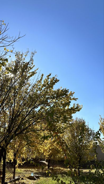 Участок, Ховли, Участка,