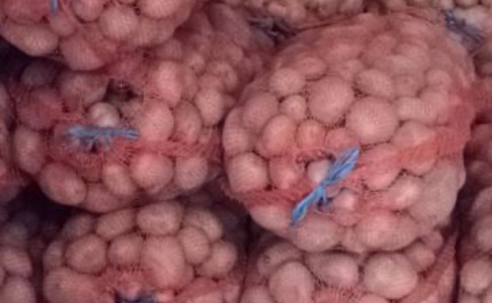 Vand cartofi de samanata bella rosa