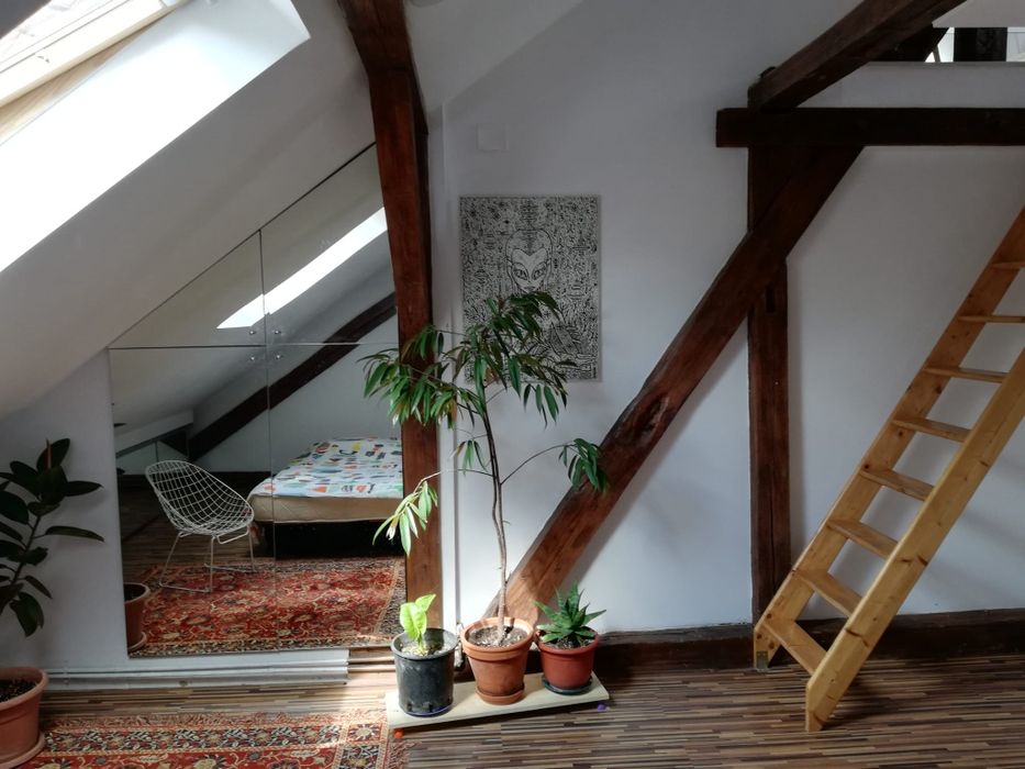 Închiriez apartament  4 camere 3 dormitoare, Pet Friendly, strada Bul Victor Babeș