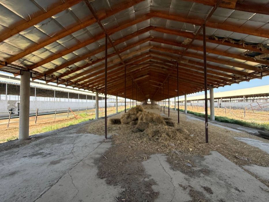 Tayyor 4,5 gektarli ferma sotiladi (Buxoro/kogon)