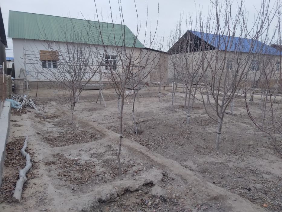 Хожан ауылда 25 (Нурмакан) кошедеги 61 жай сатылады 300млн сум