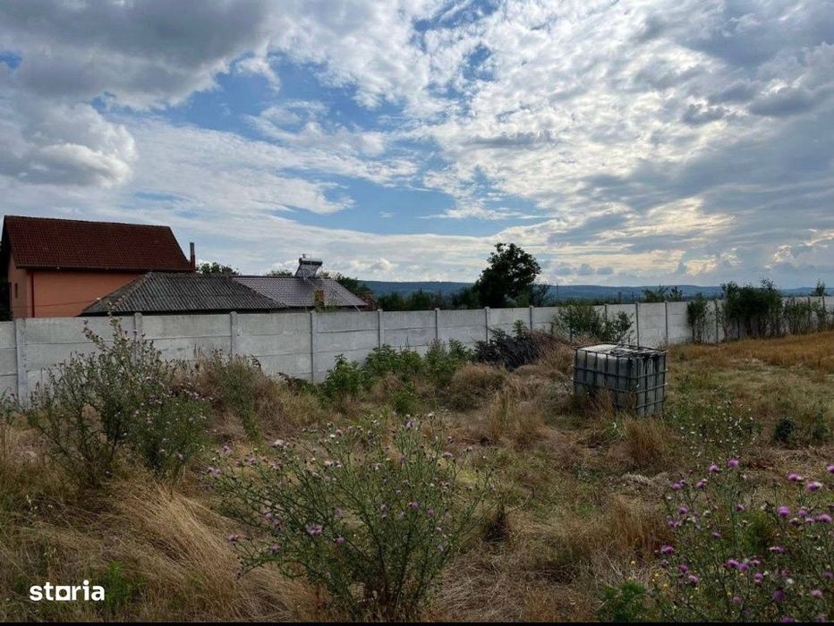 Teren intravilan imprejmuit 1000 mp, total 2550 mp, zona Arginesti