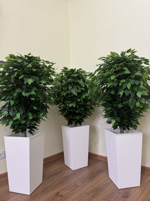 Искусственные деревья