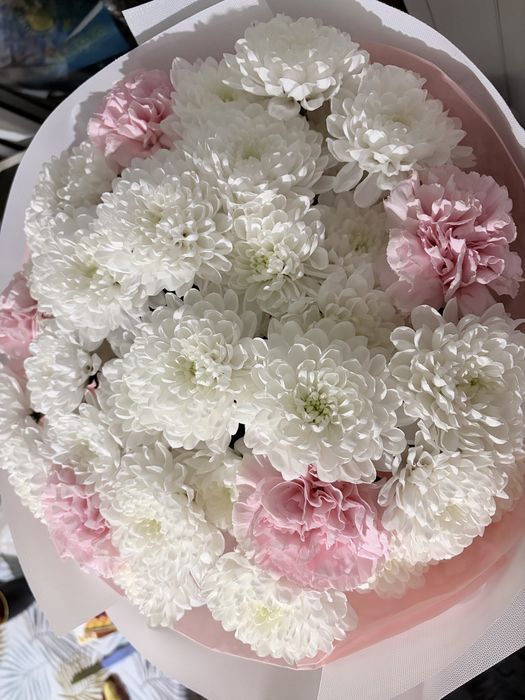 Цветы , хризантема мен гвоздика