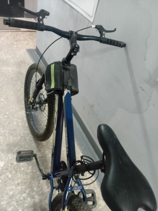 Вели бдф спортивны