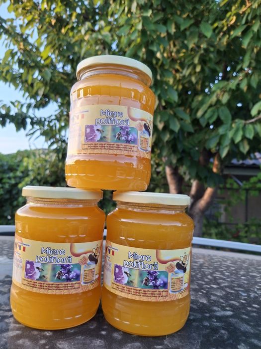 Miere de albine poliflora
