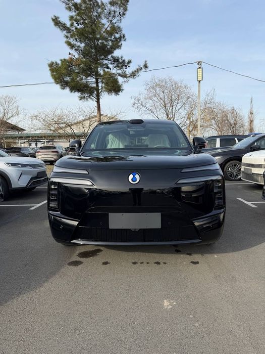 DENZA N8L В Наличи Серый Салон