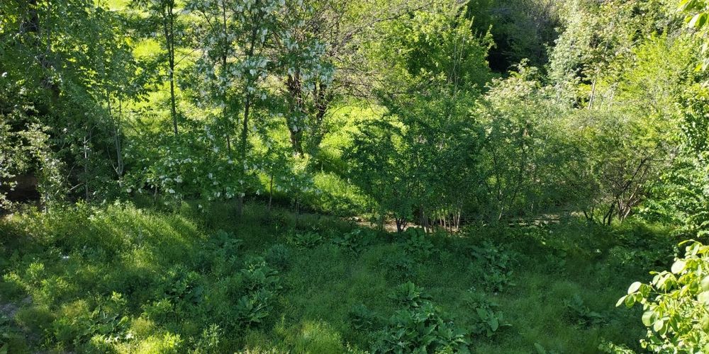 ДАЧА Октош (Акташ) САУНА Факат оилавий. Без алкоголь.