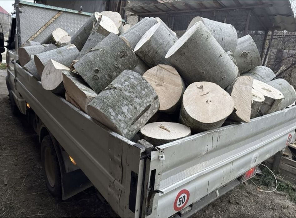 Lemn de foc ,TAIAT SPART !!!