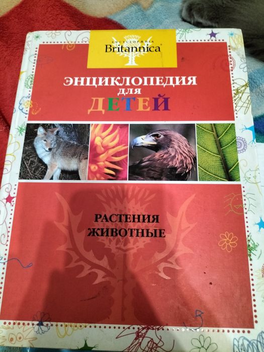 энциклопедия и букварь